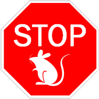 Image result for no rats